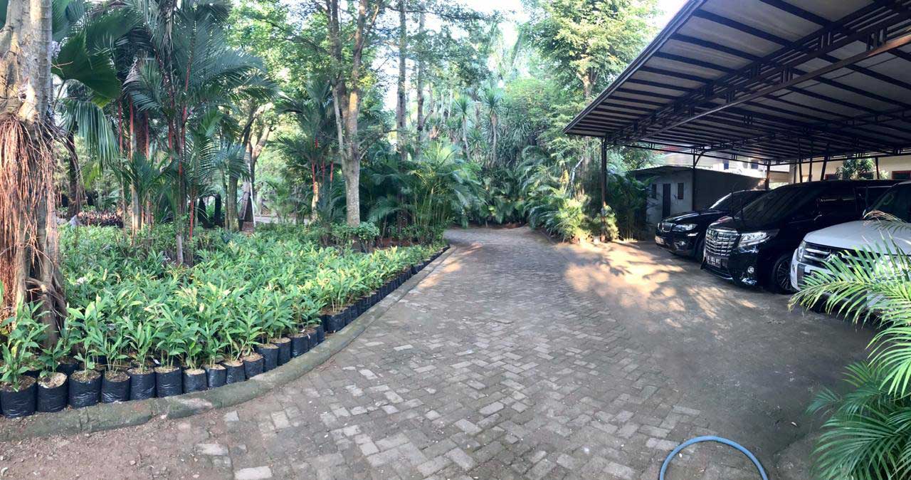 bintaro-1.jpg
