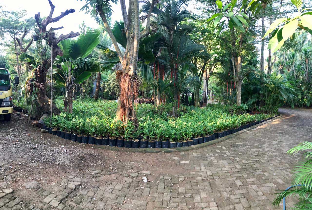 bintaro-2.jpg
