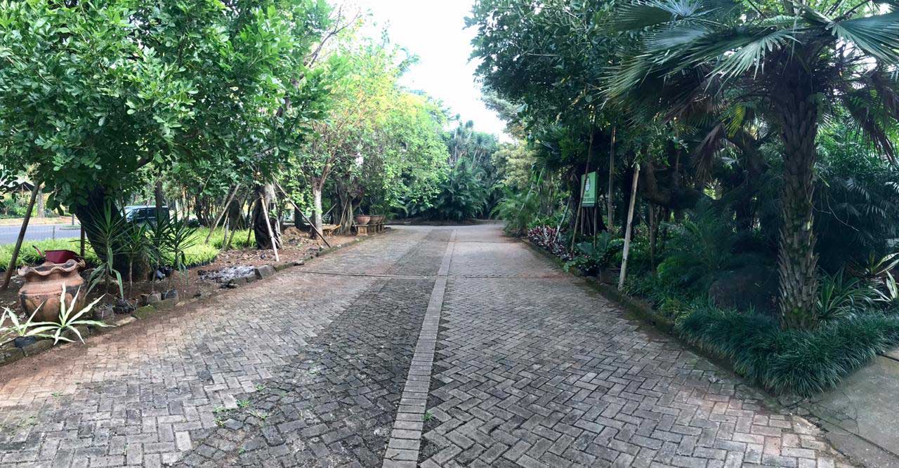 bintaro-4.jpg