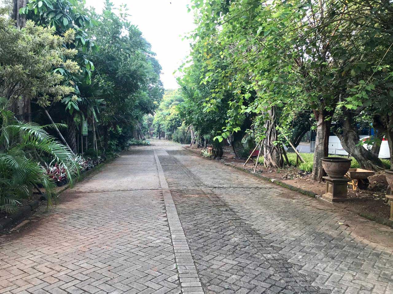 bintaro-8.jpg