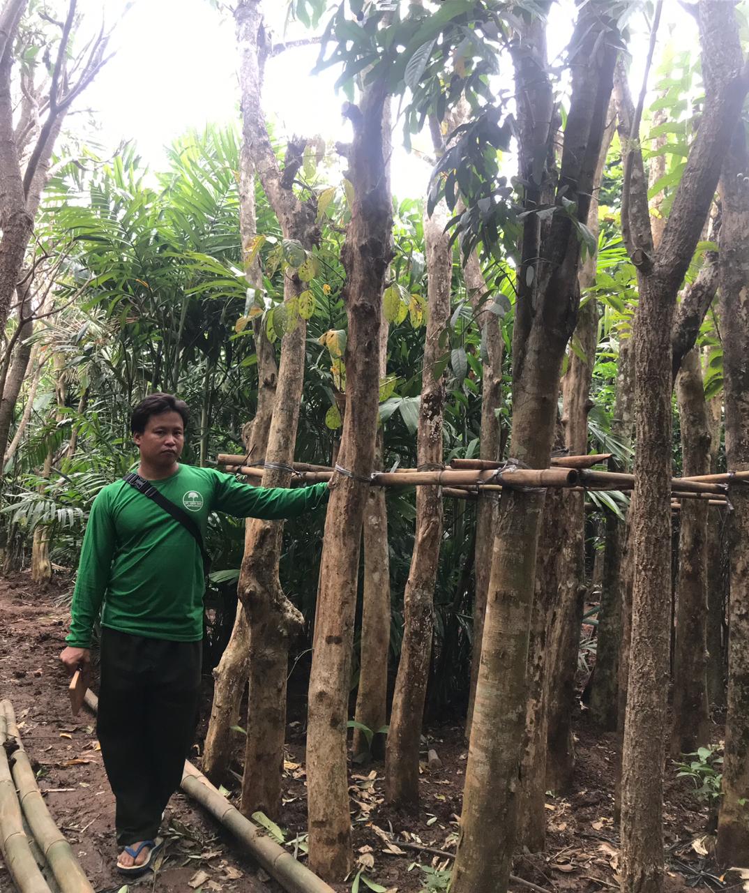 uber-sari-kertalangu-landscape-contractor-bali-nursery-bintaro-2.jpeg